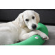 Comfort Bed for Dogs & Cats – Ideal for Seniors and Recovery